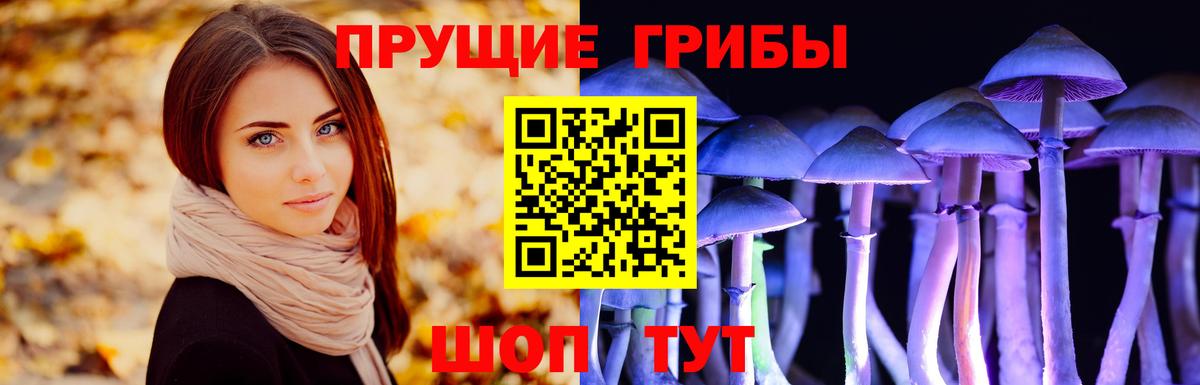 Топки  Псилоцибиновые грибы Cubensis  закладки  Псилоцибиновые грибы GOLDEN TEACHER  Вход с VPN 