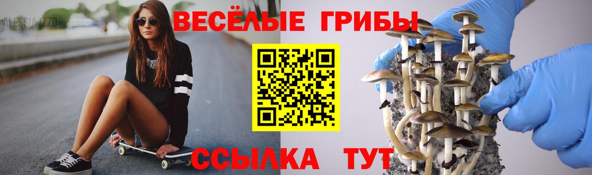 Галлюциногенные грибы мицелий Топки